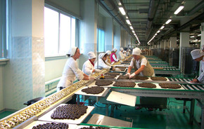 Кондитерская шоколадная фабрика «Бабаевская»
